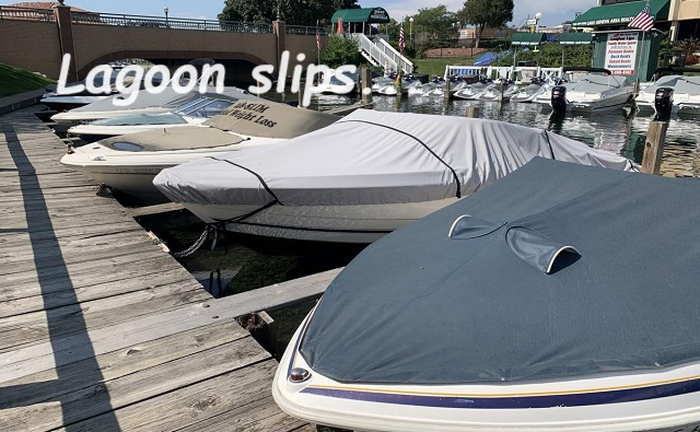 Our Place, June 11, 2025