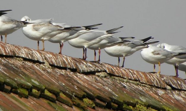 Surprising Stuff, September 20, 2023