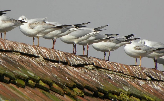 Surprising Stuff, September 20, 2023