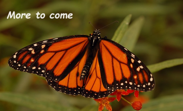 Little Gems, October 18, 2023