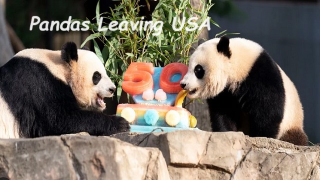 Living Here, October 4, 2023