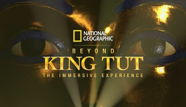 Little Gems, November 8. 2023