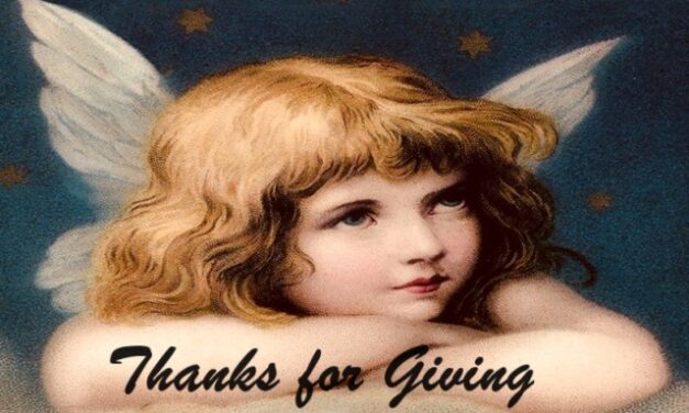 The Bright Side, November 29, 2023