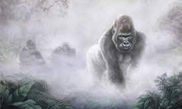 Opinion/Editorial, November 8. 2023