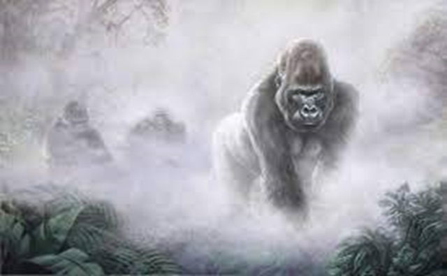 Opinion/Editorial, November 8. 2023