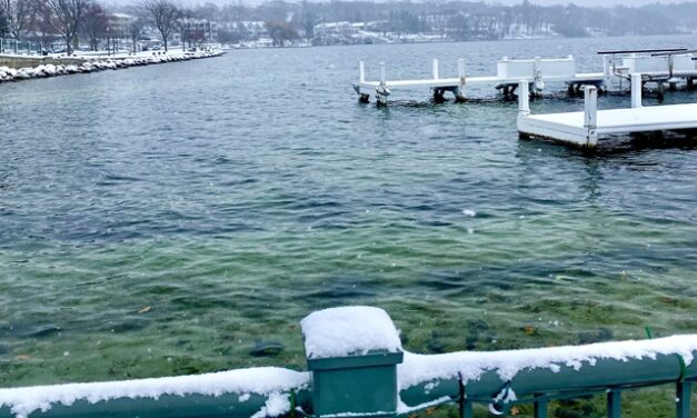 Surprising Stuff, November 29, 2023