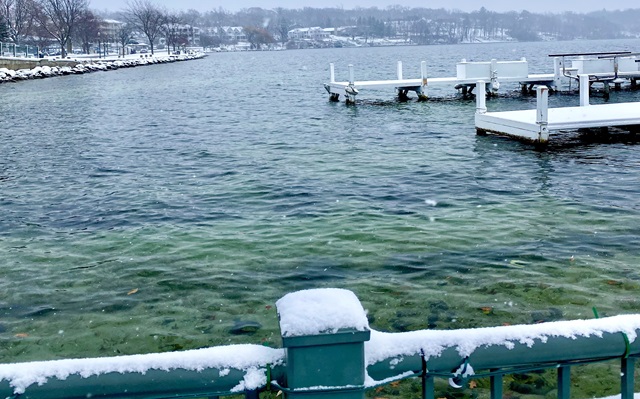 Surprising Stuff, November 29, 2023