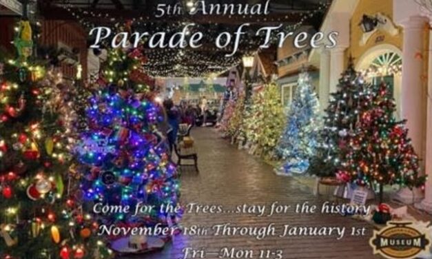 Little Gems, November 15, 2023