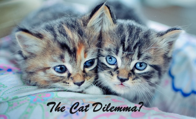 The Bright Side, December 27, 2023