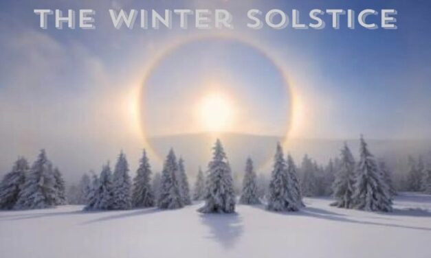 Surprising Stuff, December 20, 2023