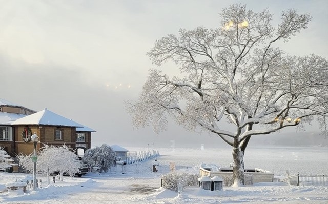 Little Gems, January 17, 2024