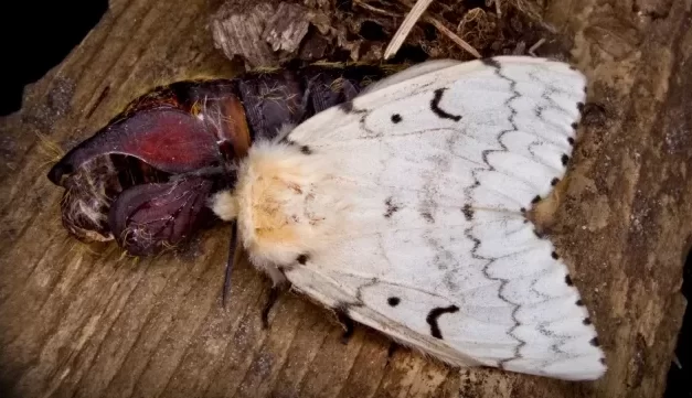 Surprising Stuff, February 14, 2024