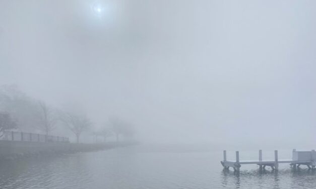 The Bright Side, February 21, 2024