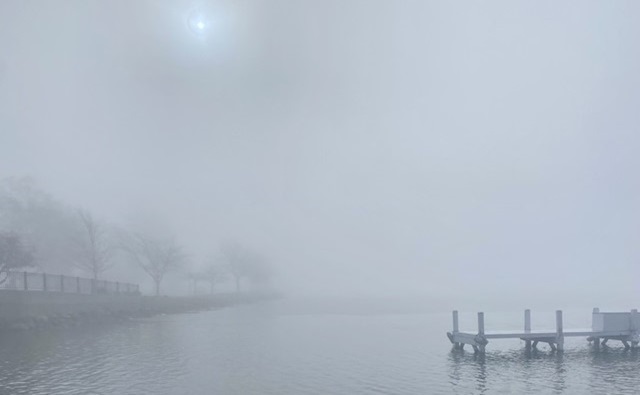 The Bright Side, February 21, 2024