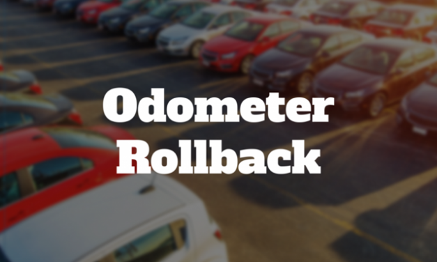 Living Here, February 21, 2024