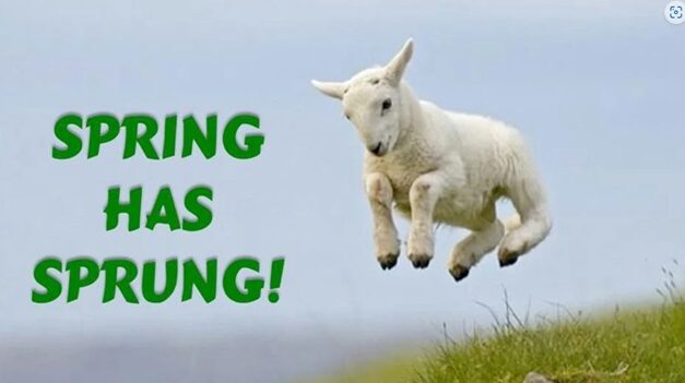 Living Here, March 20, 2024