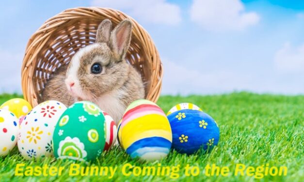 The Bright Side, March 20, 2024