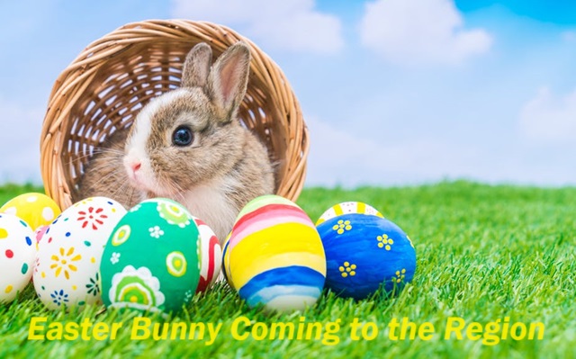 The Bright Side, March 20, 2024