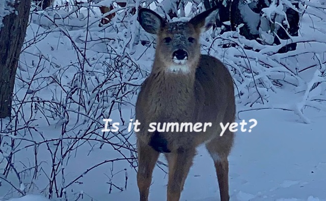 The Bright Side, March 6, 2024