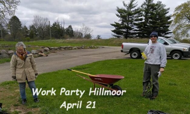 Surprising Stuff, April 24, 2024