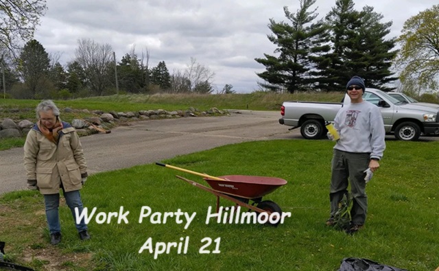 Surprising Stuff, April 24, 2024