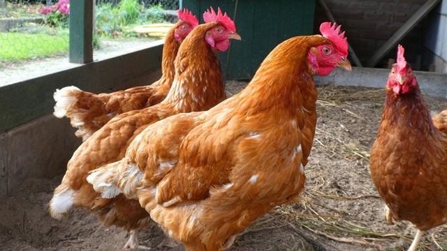 Surprising Stuff, May 8, 2024