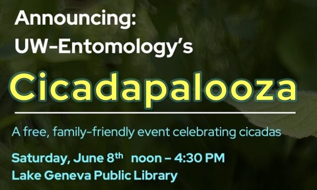 Surprising Stuff, May 29, 2024