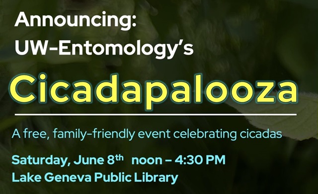 Surprising Stuff, May 29, 2024