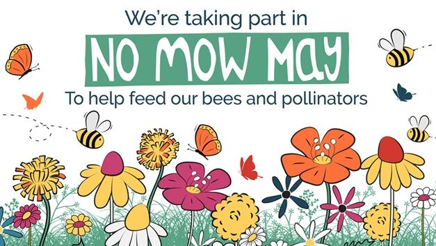 Living Here, May 15, 2024