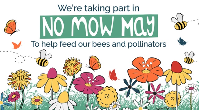 Living Here, May 15, 2024