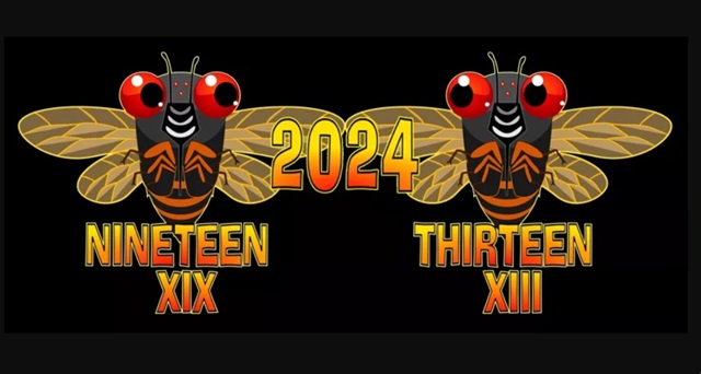 Surprising Stuff, May 22, 2024