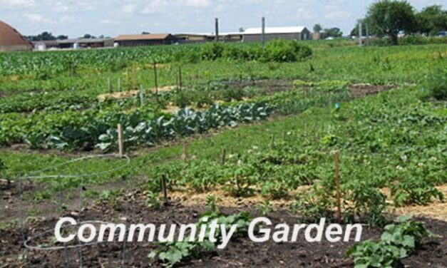 The Bright Side, May 8, 2024