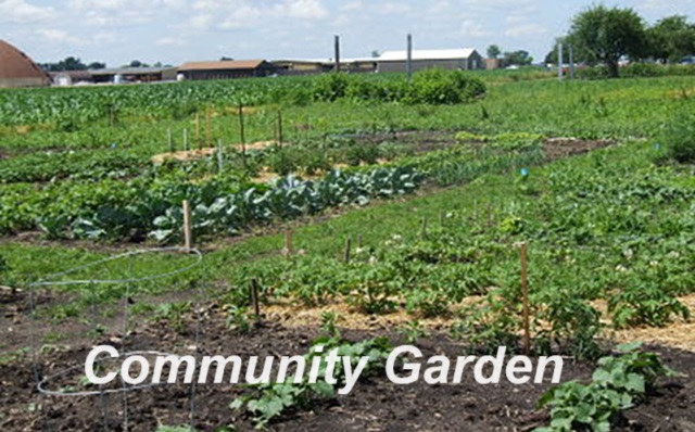 The Bright Side, May 8, 2024