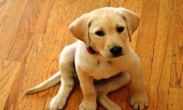 Opinion/Editorial. May 1, 2024