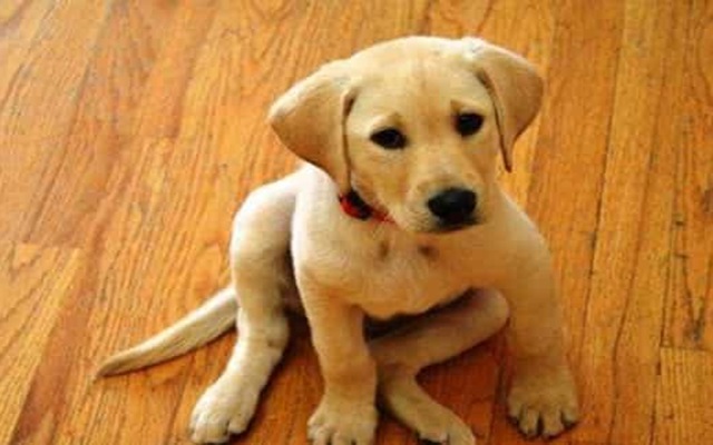 Opinion/Editorial. May 1, 2024