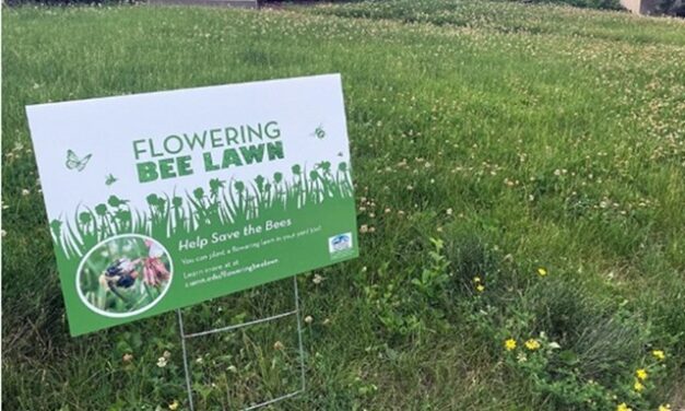 Living Here, June 26, 2024