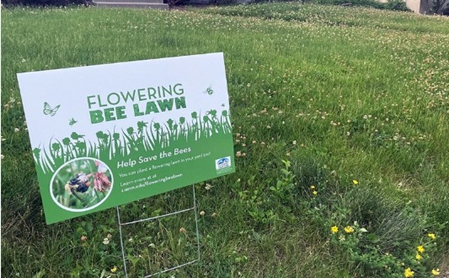 Living Here, June 26, 2024