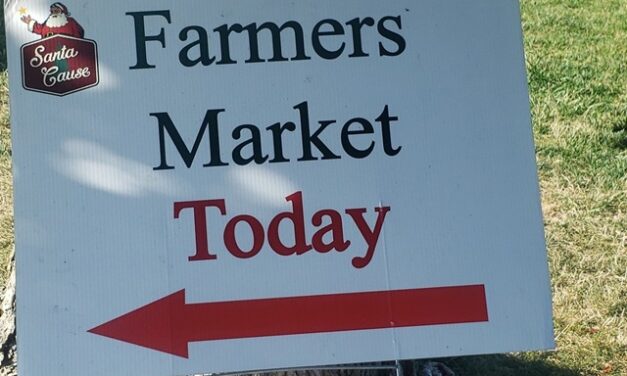 Little Gems, June 19, 2024