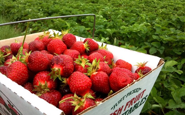 Living Here, June 12, 2024