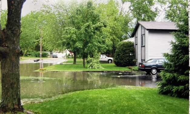 Front Page, July 24, 2024