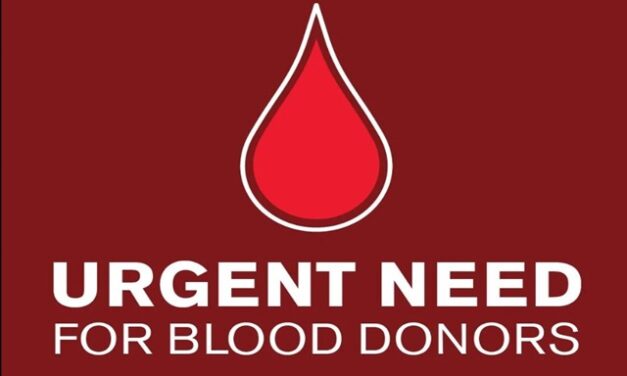 Surprising Stuff, July 17, 2024