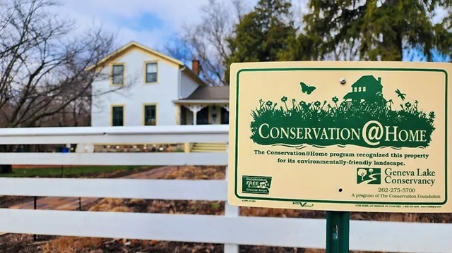 The Bright Side, August 14, 2024