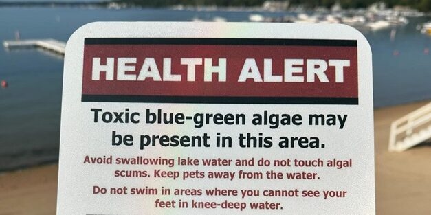 The Bright Side, August 28, 2024