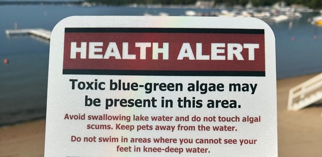 The Bright Side, August 28, 2024