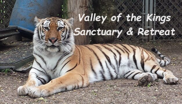 The Bright Side, August 21, 2024