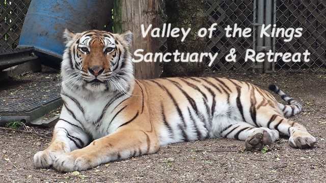 The Bright Side, August 21, 2024