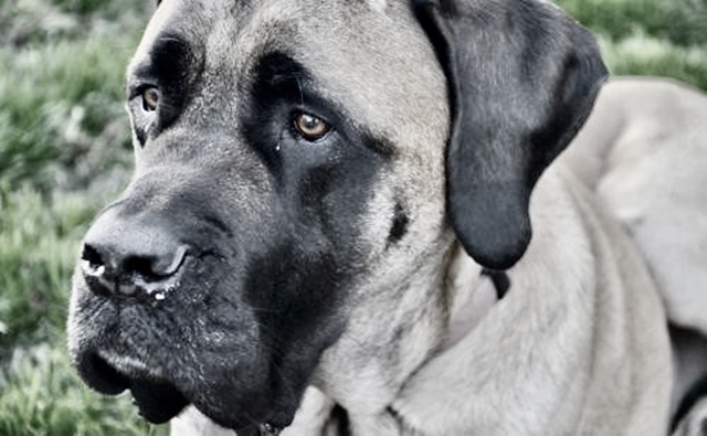 Opinion/Editorial, August 14, 2024