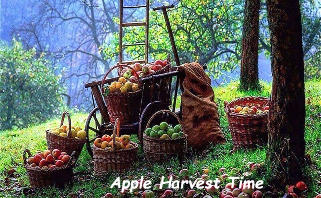 Little Gems, September 18, 2024