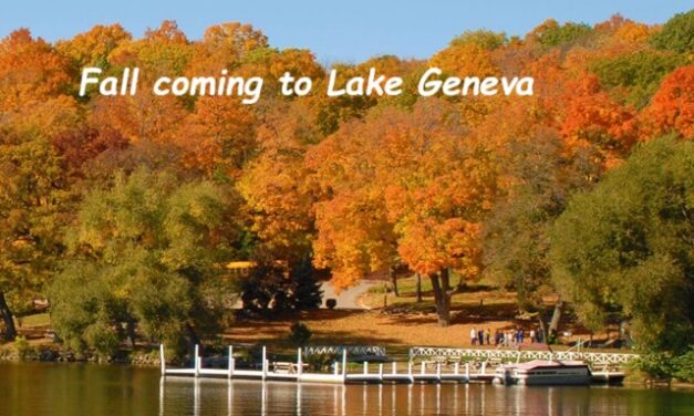 Surprising Stuff , October 1, 2025