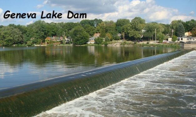 Surprising Stuff, September 4, 2024